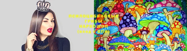 таблы Беломорск