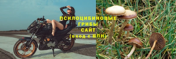 трава Белоозёрский