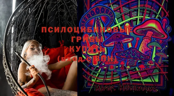 сатива Белокуриха
