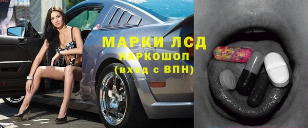 сатива Белокуриха
