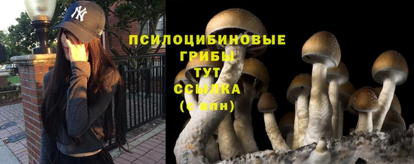 трава Белоозёрский