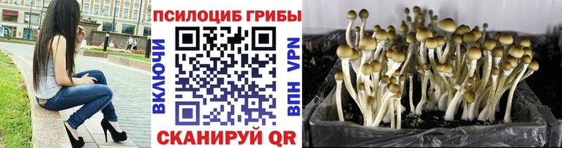 Галлюциногенные грибы прущие грибы  дарнет шоп  Каргат 