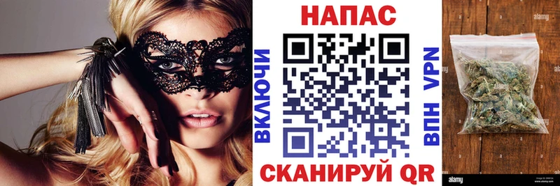 Канабис ГИДРОПОН  Каргат 